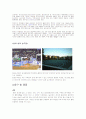 농구레포트 4페이지