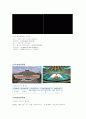 농구레포트 9페이지