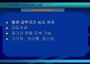 운동과 탄수화물을 중요성(운동전, 운동중, 운동후) 10페이지