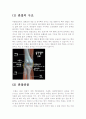슬관절레포트 2페이지