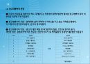 국제마케팅 국제촉진전략및 국제광고전략 16페이지