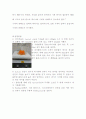 [파이널] 재결정과 분별결정 5페이지