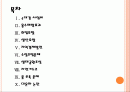 [4대강사업] 4대강사업에 대한 효과와 문제점 및 쟁점에 대한 찬반입장 PPT자료 2페이지
