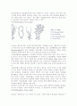 식물-Observation of Planktonic Algae 2페이지