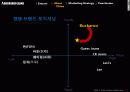 버커루진 해외진출 국제마케팅전략 13페이지