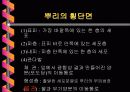 [중2과학뿌리]식물의구조와기능단원뿌리부분PPT자료입니다 7페이지