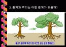 [중2과학뿌리]식물의구조와기능단원뿌리부분PPT자료입니다 13페이지