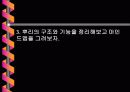 [중2과학뿌리]식물의구조와기능단원뿌리부분PPT자료입니다 14페이지