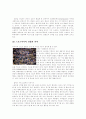 스포츠미디어 7페이지