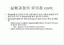 [분자생물학과,유전학과,유전공학과 등] southern blotting 실험 및 발표 자료 4페이지