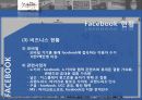페이스북(facebook)마케팅사례및 서비스분석과 한계점 10페이지