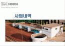 네슬레 한국 진출 전략 14페이지