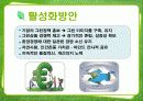 그린마케팅 27페이지