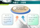노동력의 변화와 기업의 효율적 관리방안 11페이지