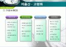 노동력의 변화와 기업의 효율적 관리방안 13페이지