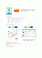아시아 광고대회 2007 기획서 21페이지