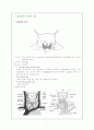 갑상선의 구조와 기능 Thyroid Ca 1페이지