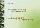 미소주 마케팅실패원인분석과 마케팅전략제시 2페이지