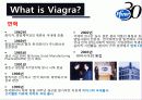 비아그라 마케팅및광고전략분석 PPT자료 6페이지