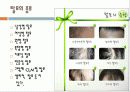 탈모예방에 관한자료 4페이지