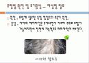 탈모예방에 관한자료 6페이지