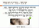 탈모예방에 관한자료 7페이지