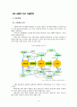 led 산업의 주요 기술동향 2페이지