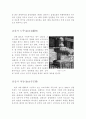 전라북도(全羅北道) 김제 부안 고창 13페이지