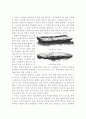 전라북도(全羅北道) 김제 부안 고창 73페이지