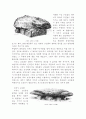 전라북도(全羅北道) 김제 부안 고창 75페이지