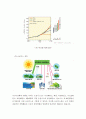 도시환경문제 실태와 대책 6페이지