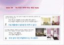 DIY포인트벽지회사 사업계획서 12페이지