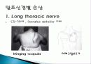 Brachial plexus injury(상완신경총 손상) 9페이지