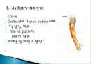 Brachial plexus injury(상완신경총 손상) 11페이지
