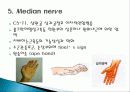 Brachial plexus injury(상완신경총 손상) 14페이지