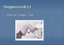 십자인대손상의 재활 17페이지