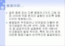 티그용접에 대해서 3페이지