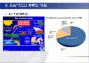 지구온난화 11페이지