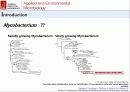 산화 스트레스 반응에서 Mycobacterium avium Autoinducer-2의 바이오필름 형성 6페이지