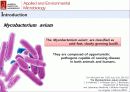 산화 스트레스 반응에서 Mycobacterium avium Autoinducer-2의 바이오필름 형성 8페이지