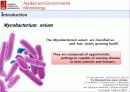 산화 스트레스 반응에서 Mycobacterium avium Autoinducer-2의 바이오필름 형성 10페이지