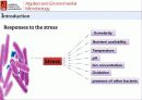 산화 스트레스 반응에서 Mycobacterium avium Autoinducer-2의 바이오필름 형성 16페이지