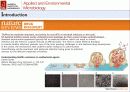 산화 스트레스 반응에서 Mycobacterium avium Autoinducer-2의 바이오필름 형성 17페이지