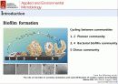 산화 스트레스 반응에서 Mycobacterium avium Autoinducer-2의 바이오필름 형성 18페이지