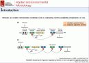 산화 스트레스 반응에서 Mycobacterium avium Autoinducer-2의 바이오필름 형성 19페이지