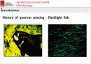 산화 스트레스 반응에서 Mycobacterium avium Autoinducer-2의 바이오필름 형성 23페이지