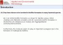 산화 스트레스 반응에서 Mycobacterium avium Autoinducer-2의 바이오필름 형성 28페이지