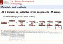 산화 스트레스 반응에서 Mycobacterium avium Autoinducer-2의 바이오필름 형성 35페이지