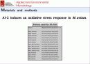 산화 스트레스 반응에서 Mycobacterium avium Autoinducer-2의 바이오필름 형성 36페이지