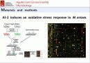 산화 스트레스 반응에서 Mycobacterium avium Autoinducer-2의 바이오필름 형성 37페이지